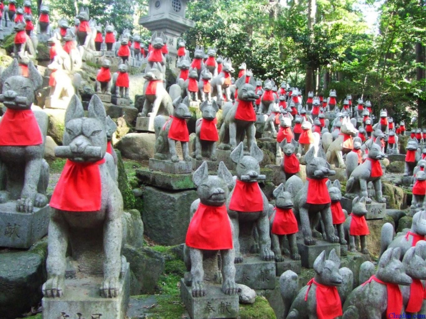 10 trải nghiệm độc đáo ở miền Trung Nhật Bản