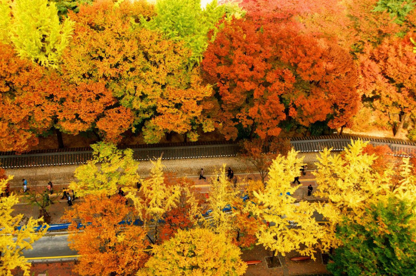9 điểm chụp ảnh đẹp vào mùa thu ở xứ Hàn
