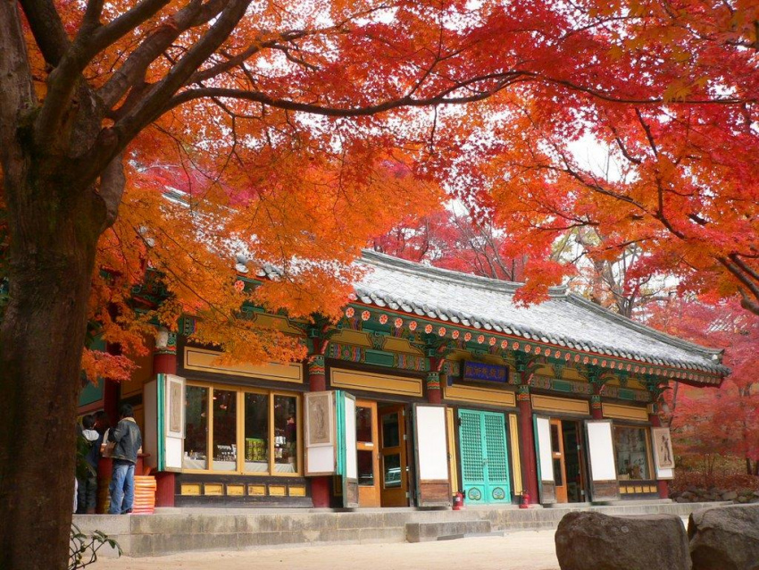 9 điểm chụp ảnh đẹp vào mùa thu ở xứ Hàn