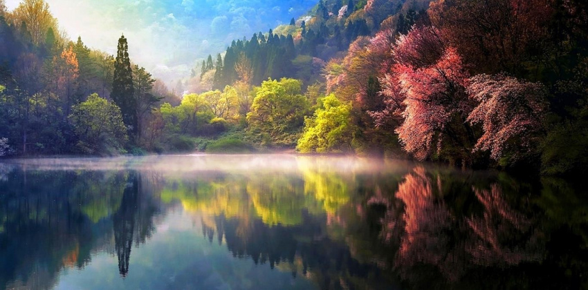 Tiên cảnh phản chiếu trên mặt nước ở Hàn Quốc