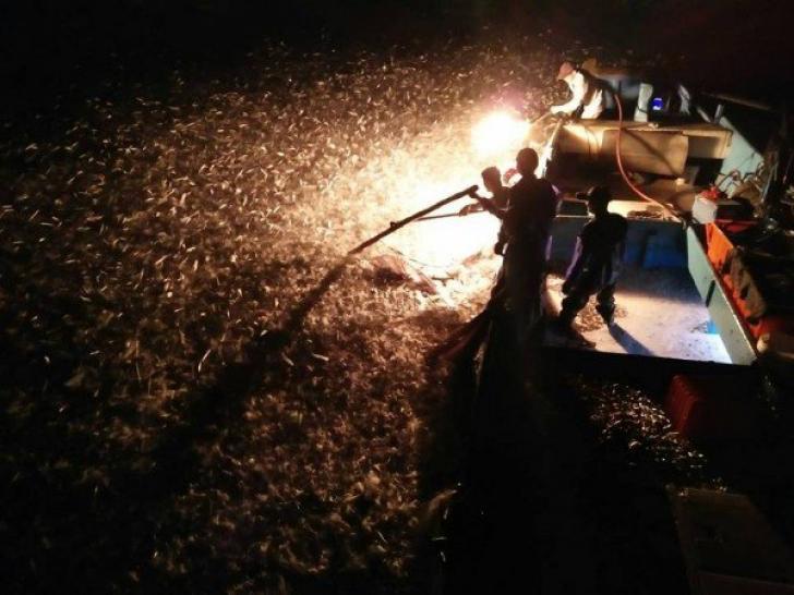 Nghề đánh cá truyền thống bằng lửa ở Đài Loan