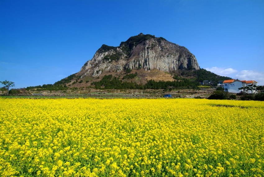 Phú Quốc vào top đảo du lịch đẹp nhất châu Á
