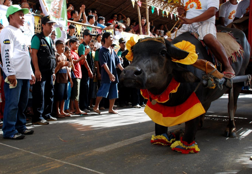Những lễ hội sống động sắc màu ở Philippines