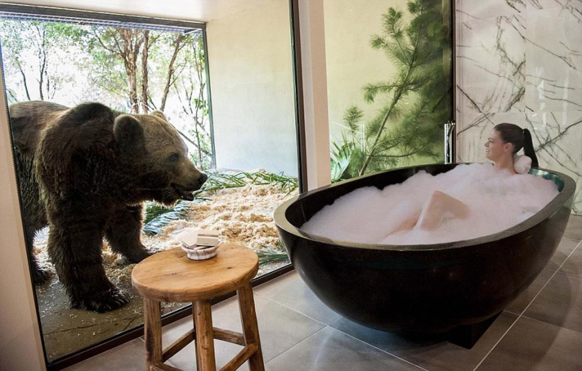 Tắm cùng gấu, ăn tối với sư tử trong khách sạn giữa vườn thú
