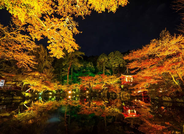 du lịch kyoto, 15 địa điểm ngắm lá đỏ tuyệt đẹp ở cố đô kyoto