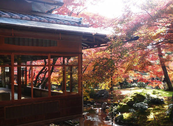 du lịch kyoto, 15 địa điểm ngắm lá đỏ tuyệt đẹp ở cố đô kyoto