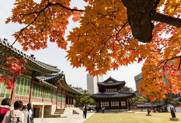 du lịch seoul, tham quan seoul, 14 nơi không đi thì phí cả chuyến tham quan hàn quốc