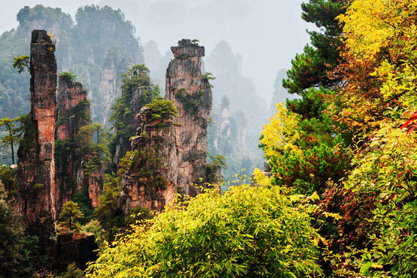 công viên xianshan, trung quốc, ngây ngất ngắm ‘rừng lửa’ thu vàng