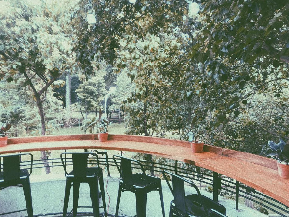 cafe the local, du lịch tphcm, sài gòn, phát hiện cafe the local với không gian xanh mát, view đẹp và chụp ảnh bao ảo ngay quận 1