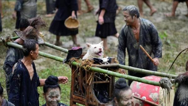 dân tộc miao, lễ hội kiệu chó của dân tộc miao