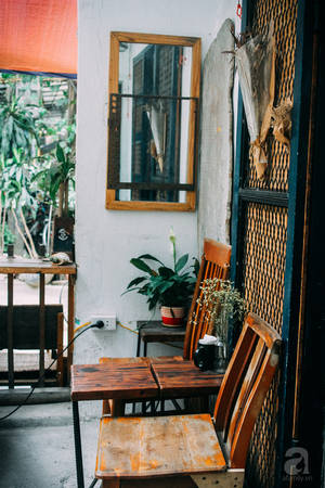 5 quán cafe trong ngõ để tìm tĩnh lặng và yên bình cho những ngày cuối hạ