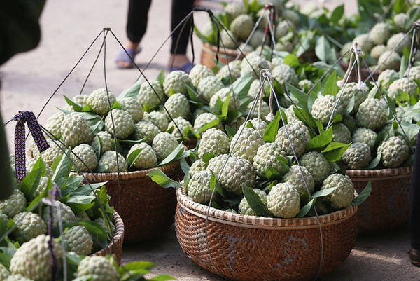 chợ đồng bành, lạng sơn, na lạng sơn, đi lạng sơn mua và ăn na no bụng