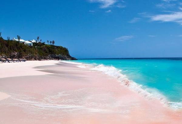 du lịch bahamas, quần đảo bahamas, bờ biển cát hồng tự nhiên ở bahamas