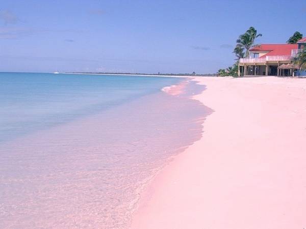 du lịch bahamas, quần đảo bahamas, bờ biển cát hồng tự nhiên ở bahamas