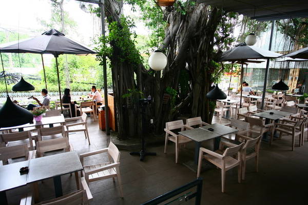 du miên garden cafe, hồ chí minh, tour sài gòn, quán cà phê dưới những tán cây cổ thụ ở sài gòn