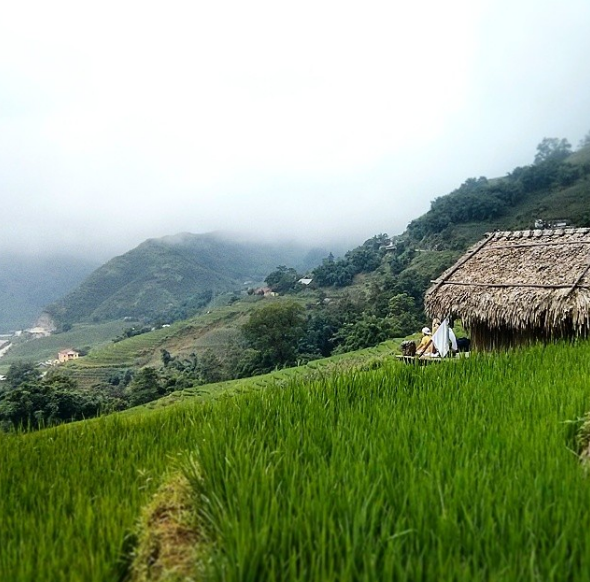 du lịch sapa, du lịch tam đảo, homestay mộc châu, homestay ở sapa, homestay tam đảo, khách sạn sapa, resort sapa, tour sapa, cập nhật một loạt homestay ở sapa –  mộc châu – tam đảo lưu về để đi dần