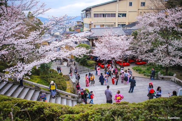 chùa kiyomizu dera, du lịch kyoto, nhật bản, điểm đến kyoto, kiyomizu dera – chùa cổ nổi tiếng nhất kyoto