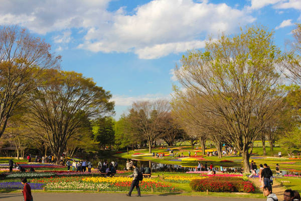 nhật bản, thiên đường hoa ở công viên mang tên nhật hoàng hirohito
