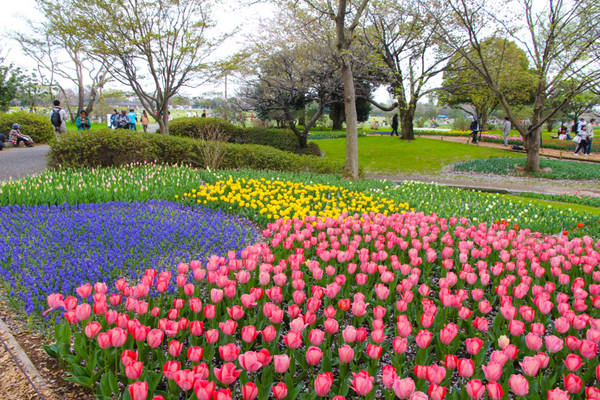 nhật bản, thiên đường hoa ở công viên mang tên nhật hoàng hirohito