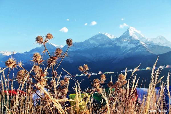 cung đường trekking, du lịch nepal, kinh nghiệm đi nepal, trekking đồi poon, đồi poon nepal, 7 điều lý thú về cung đường lên ‘đồi’ còn cao hơn đỉnh núi fansipan