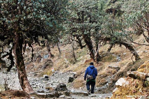 cung đường trekking, du lịch nepal, kinh nghiệm đi nepal, trekking đồi poon, đồi poon nepal, 7 điều lý thú về cung đường lên ‘đồi’ còn cao hơn đỉnh núi fansipan