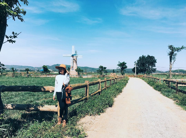 dalat milk farm, du lịch đà lạt, tour đà lạt, vinamilk organic milk farm, đồi chè cầu đất, 3 nông trại ở đà lạt tha hồ cho bạn chụp 1001 kiểu ảnh sống ảo