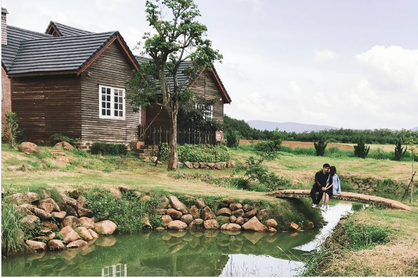 dalat milk farm, du lịch đà lạt, tour đà lạt, vinamilk organic milk farm, đồi chè cầu đất, 3 nông trại ở đà lạt tha hồ cho bạn chụp 1001 kiểu ảnh sống ảo