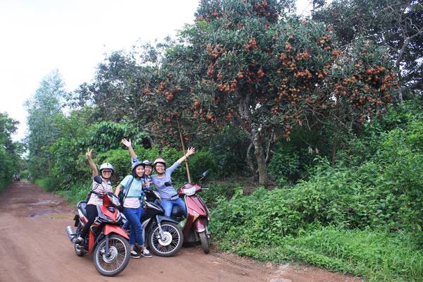 Check-in 10 ‘thiên đường’ trái cây hấp dẫn có thể đi về trong ngày gần Sài Gòn