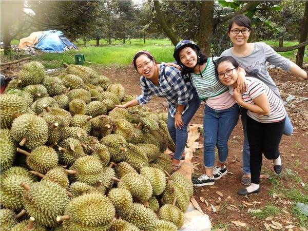 cù lao tân quy, check-in 10 ‘thiên đường’ trái cây hấp dẫn có thể đi về trong ngày gần sài gòn