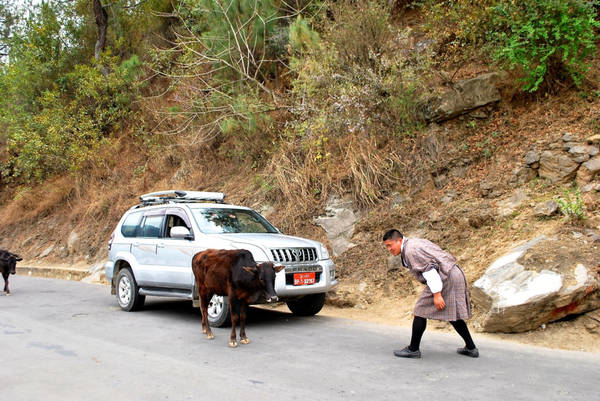 du lịch bhutan, điểm đến bhutan, 10 điều lý thú ở quốc gia hạnh phúc nhất thế giới