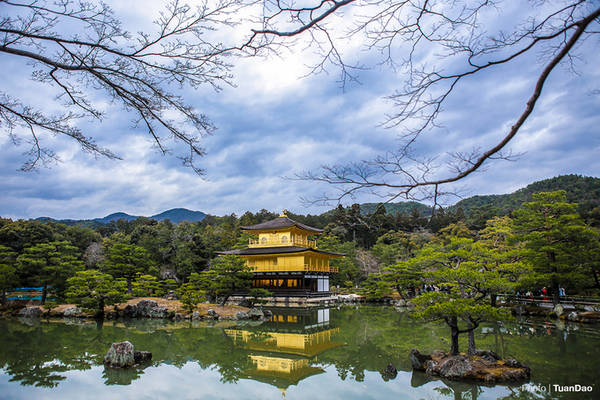 chùa vàng kinkakuji, cố đô kyoto, du lịch kyoto, nhật bản, ngôi chùa dát vàng độc đáo ở kyoto
