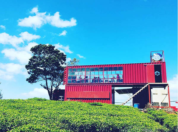 HOT: Du lịch Đà Lạt check-in quán cà phê container view 360 độ giữa đồi chè Cầu Đất