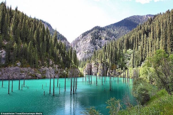 du lịch kazakhstan, hồ kaindy, kazakhstan, điểm đến kazakhstan, rừng cây mọc ngược trong hồ nước ở kazakhstan