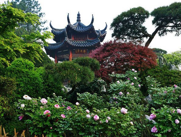 10 điểm tới ngắm ‘trăm hoa khoe sắc’ ở Trung Quốc