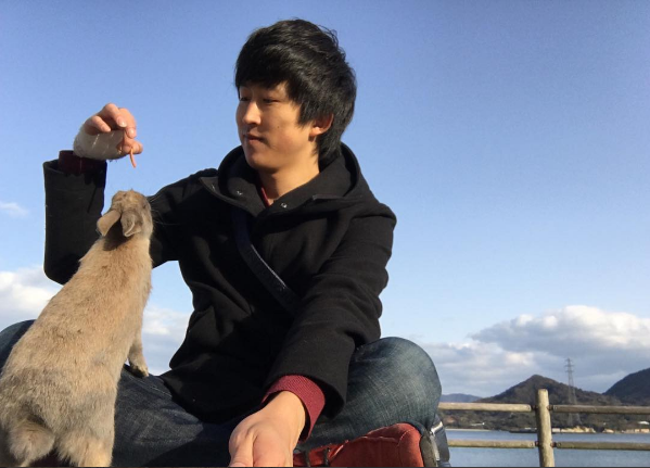 nhật bản, đảo mèo aoshima, đảo thỏ okunoshima, 3 thiên đường ở nhật bản dành cho những người yêu động vật