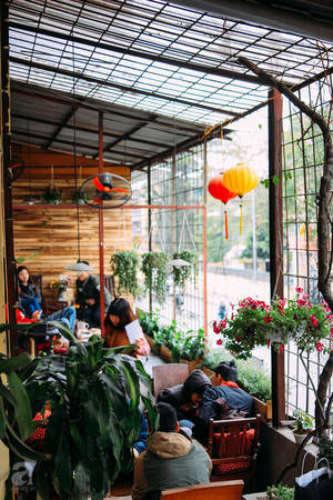 5 quán cà phê “náu” trong tập thể cũ tưởng không xinh mà xinh không tưởng ở Hà Nội