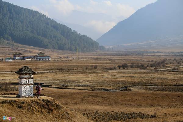 du lịch bhutan, sếu cổ đen, điểm đến bhutan, săn ảnh sếu cổ đen quý hiếm ở thung lũng sông băng phobjikha