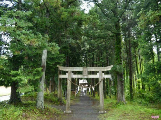 Ngôi đền cổ nhiều lời đồn có thể chữa khỏi bệnh trĩ ở Nhật