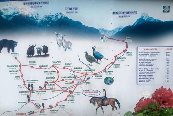 annapurna base camp, cung đường leo núi, du lịch nepal, điểm đến nepal, annapurna base camp – cung đường leo núi đẹp nhất thế giới