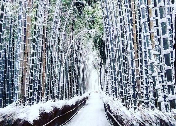 du lịch kyoto, nhật bản, ngắm khung cảnh tuyết trắng đẹp như cổ tích ở xứ phù tang