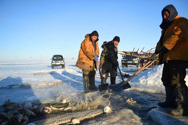 Khách du lịch hào hứng câu cá trên mặt hồ đóng băng ở Mông Cổ
