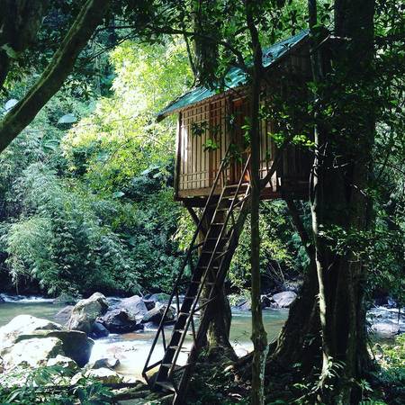 du lịch đà lạt, khach san bao loc, thác đambri, trải nghiệm ngủ trong ngôi nhà trên cây độc đáo ở khu du lịch thác dambri