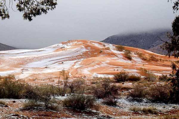 sa mạc sahara, tuyết rơi lần đầu tiên sau 37 năm ở sa mạc sahara