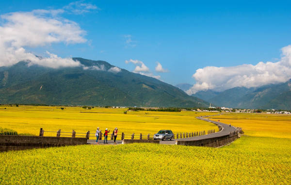 Con đường lúa ‘sống ảo’ đẹp như tranh ở Đài Loan