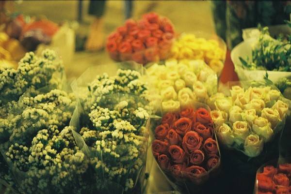 chợ hoa quảng bá, hà nội, tham quan hà nội, chợ hoa quảng bá – một hà nội khác biệt về đêm