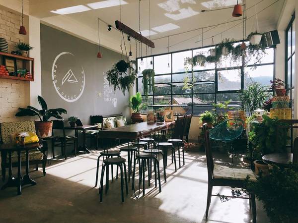 THONGDALAT.space: Quán cà phê vườn ươm ngập tràn màu xanh ở Đà Lạt