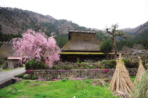 nhật bản, làng mái tranh miyama, nét đẹp nhật bản cổ xưa