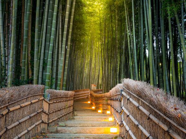 du lịch kyoto, du lịch tokyo, nhật bản, vẻ đẹp ngất ngây của kyoto và tokyo – 2 thành phố tuyệt vời nhất thế giới