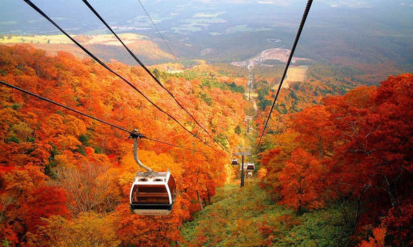 du lịch hokkaido, hàn quốc, mùa thu, đảo nami, 9 điểm đến cứ thu tới là đẹp ngất ngây như “thiên đường có thật”