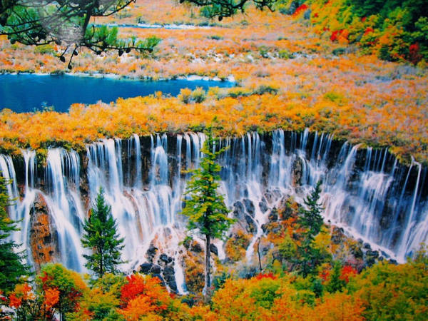 du lịch hokkaido, hàn quốc, mùa thu, đảo nami, 9 điểm đến cứ thu tới là đẹp ngất ngây như “thiên đường có thật”